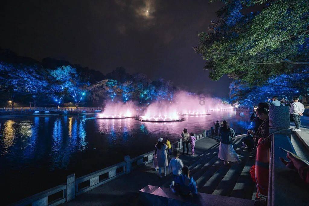 黄球大冒险