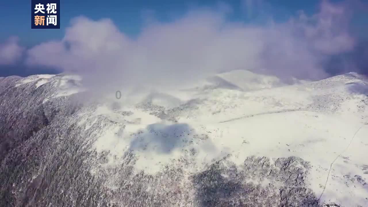 逃出林中村