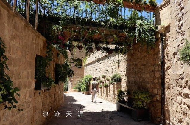 这8种“短”鼻子的狗狗在夏季最容易中暑的,你家的狗狗在其中吗