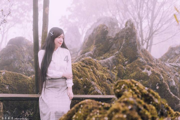 拯救蝙蝠家族
