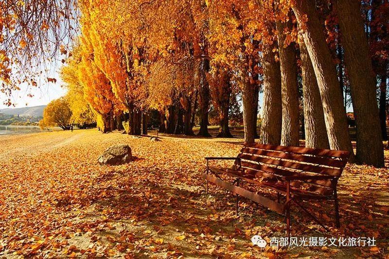 打呀么打飞机