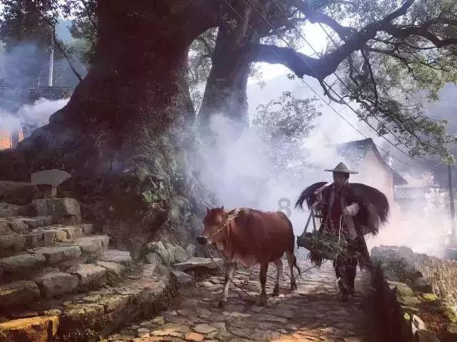 中资接盘澳洲矿业传奇大佬旗下资产 碧桂园“瘦身”自救 中国上年进口锂精矿401万吨 铀价升至多年高位 河南平煤重大矿难被挂牌督办