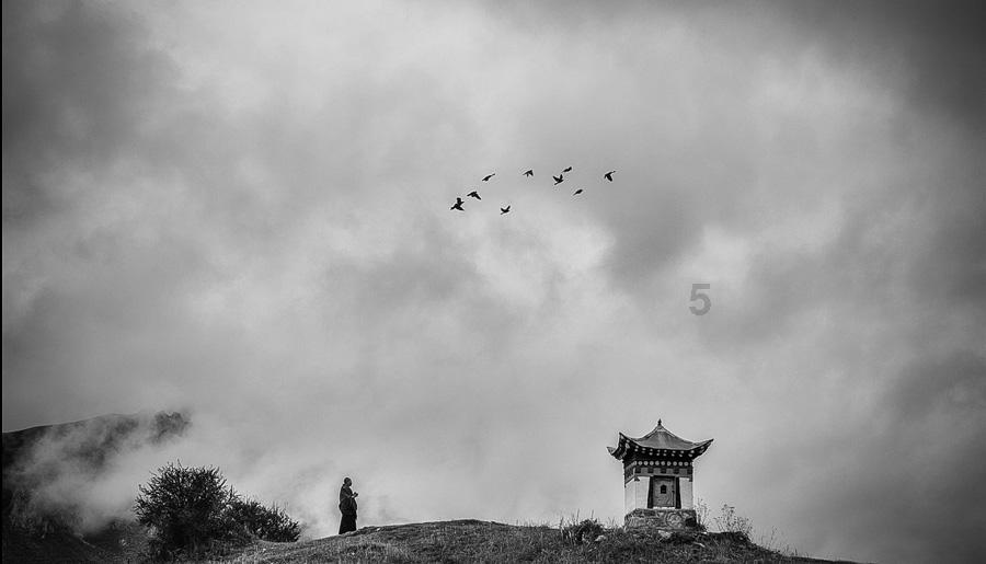 感情需要专一吗？