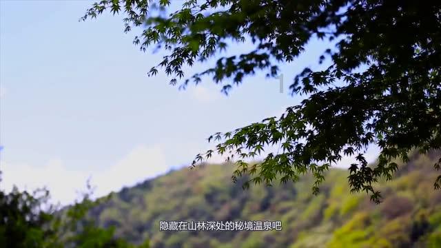 关于公布2024年普通高校招生艺术类专业省级统考合格分数线的通知