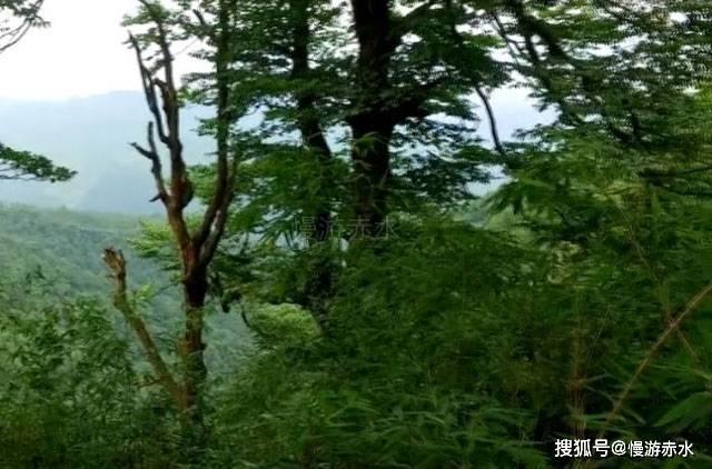 2024年瑞雪初降,玉泉城管带动沿街商户清雪除冰