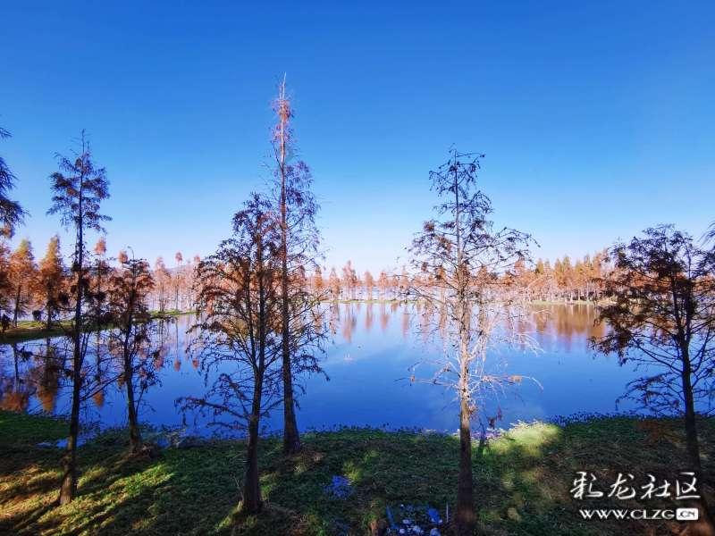 氢氧医学与老年健康学术交流会