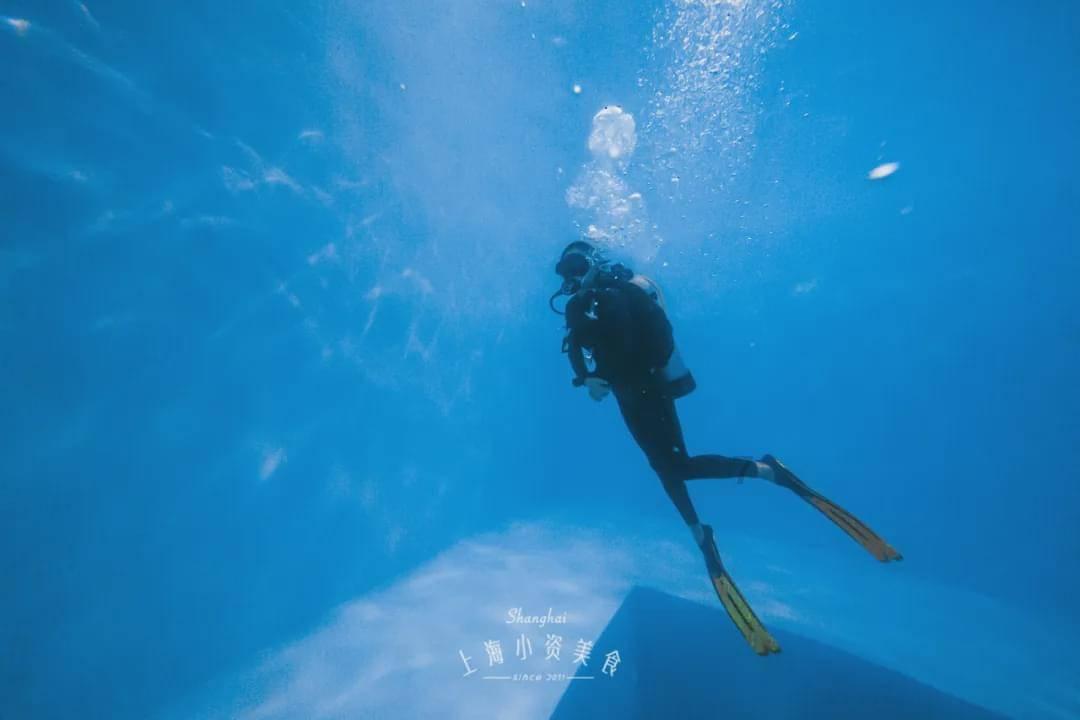 海底的秘密