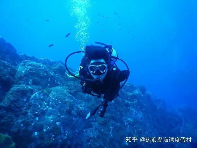 欢乐砸瓶子