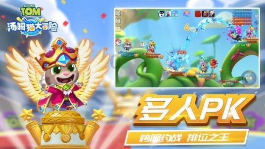 补救措施