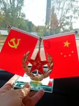 眼镜蛇秘密行动