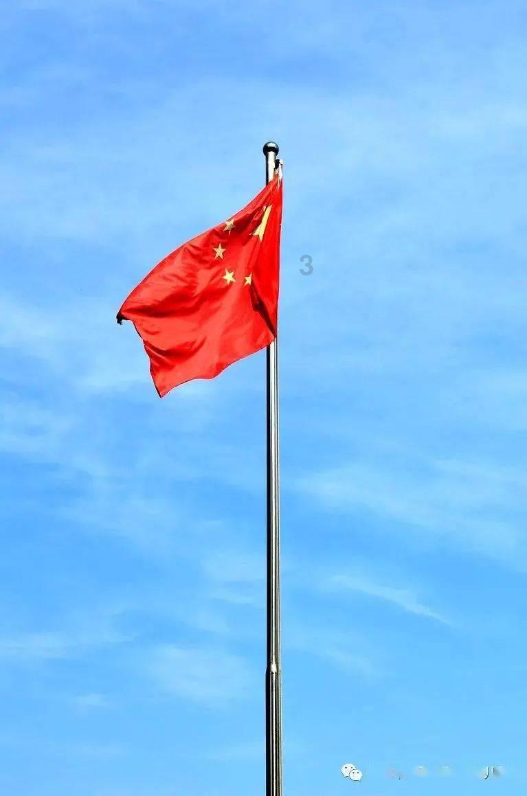 多鲸行研 | 2024少儿编程教育行业发展趋势报告
