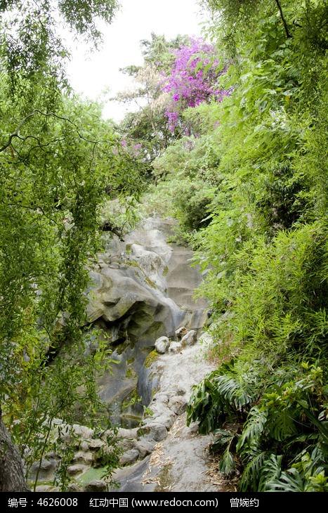 逃离橡子树种植地