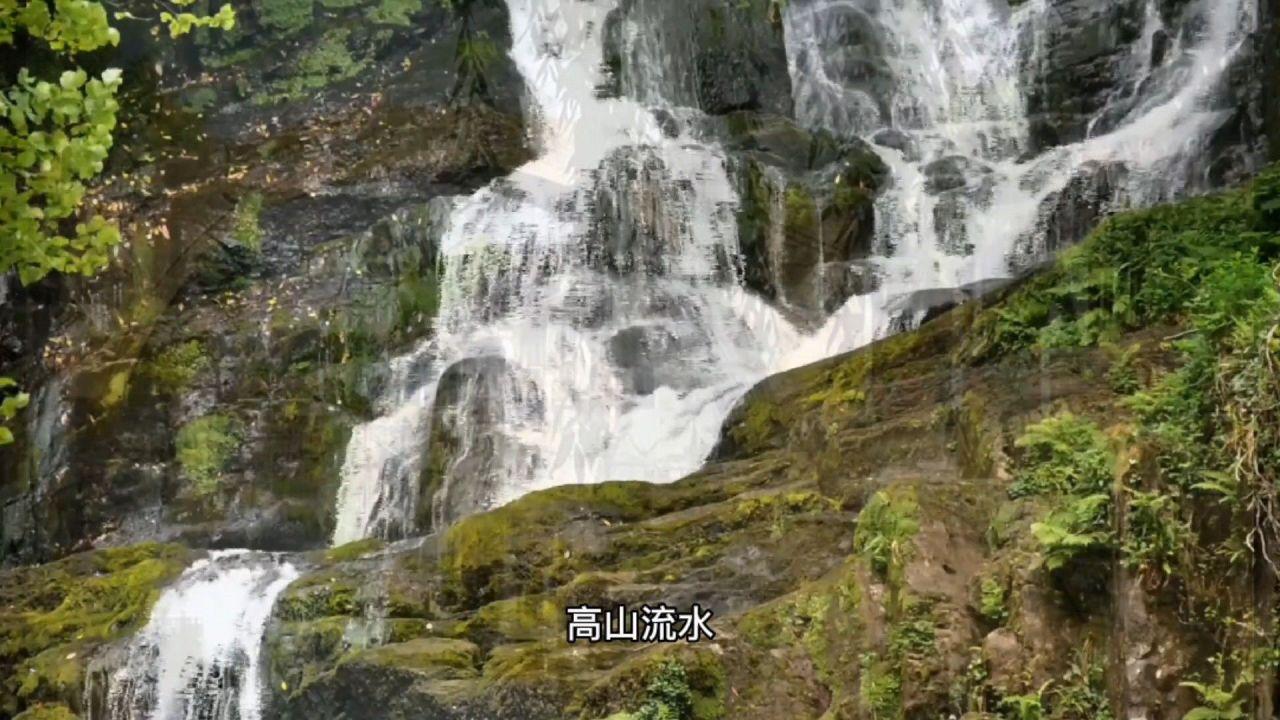 公主烹饪蛋糕