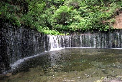 动物帮帮忙保卫家园