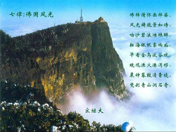 月光影视