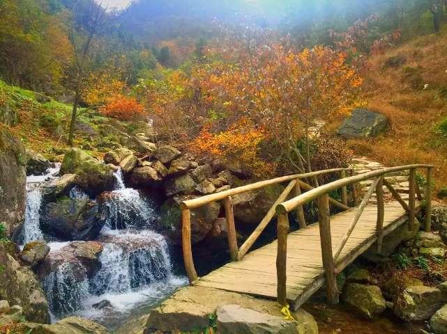 以雪为令!南岳衡山多措并举全力确保游人安全