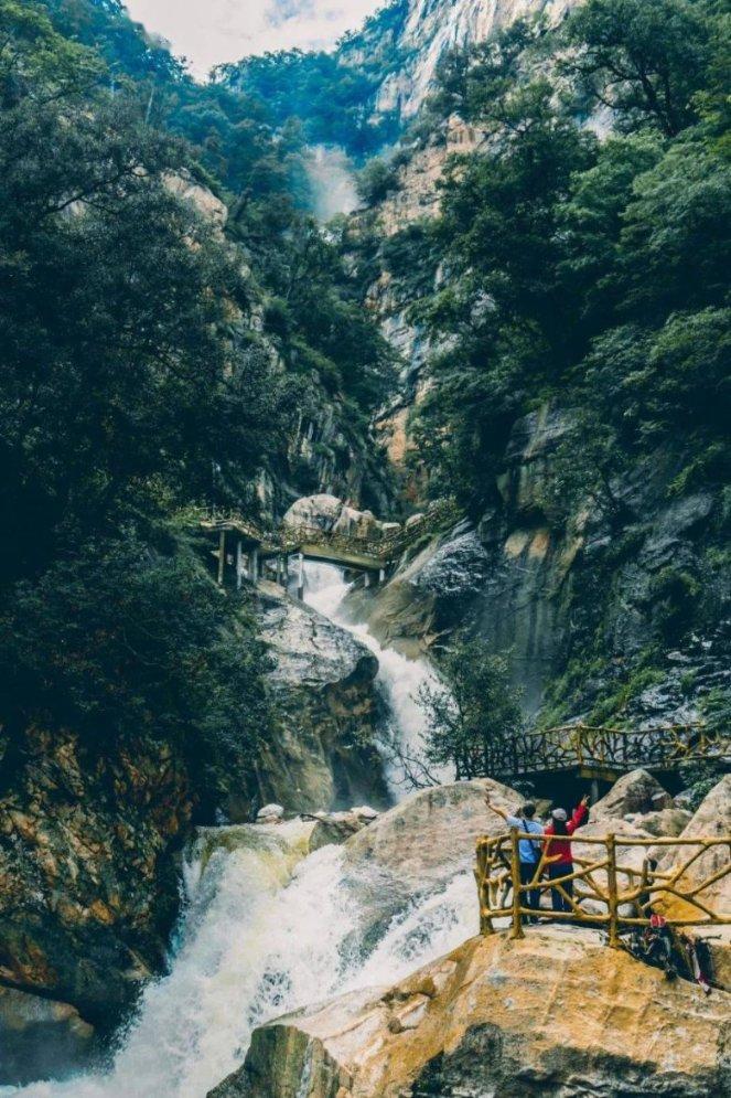 呆萌动物园
