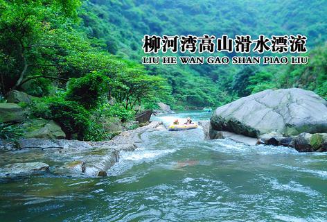 脑洞小老弟无实名认证