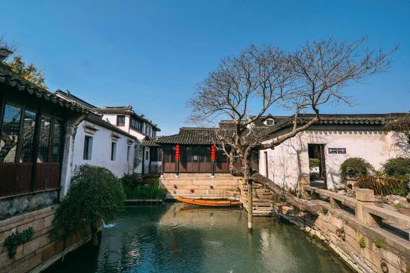 拯救精灵的土地6