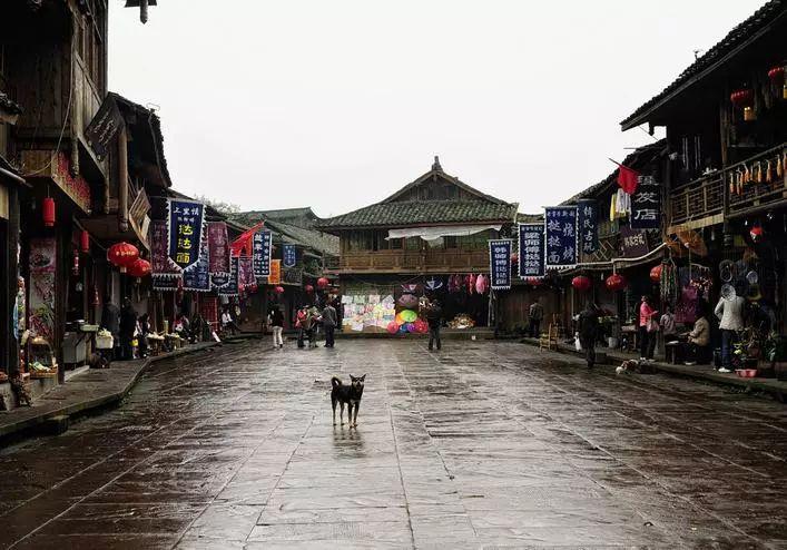 如果一个92年的女人,头胎男孩2019年的,如果二胎是女孩可能在2026年出生吗?-快捷高效的有问必答平台
