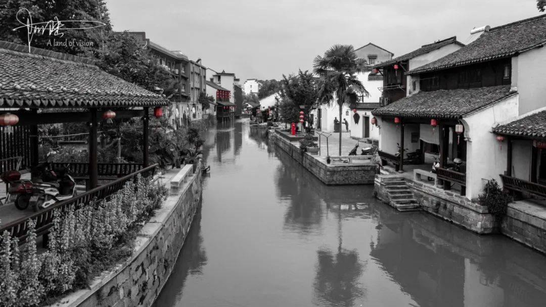 破碎的动物图形3