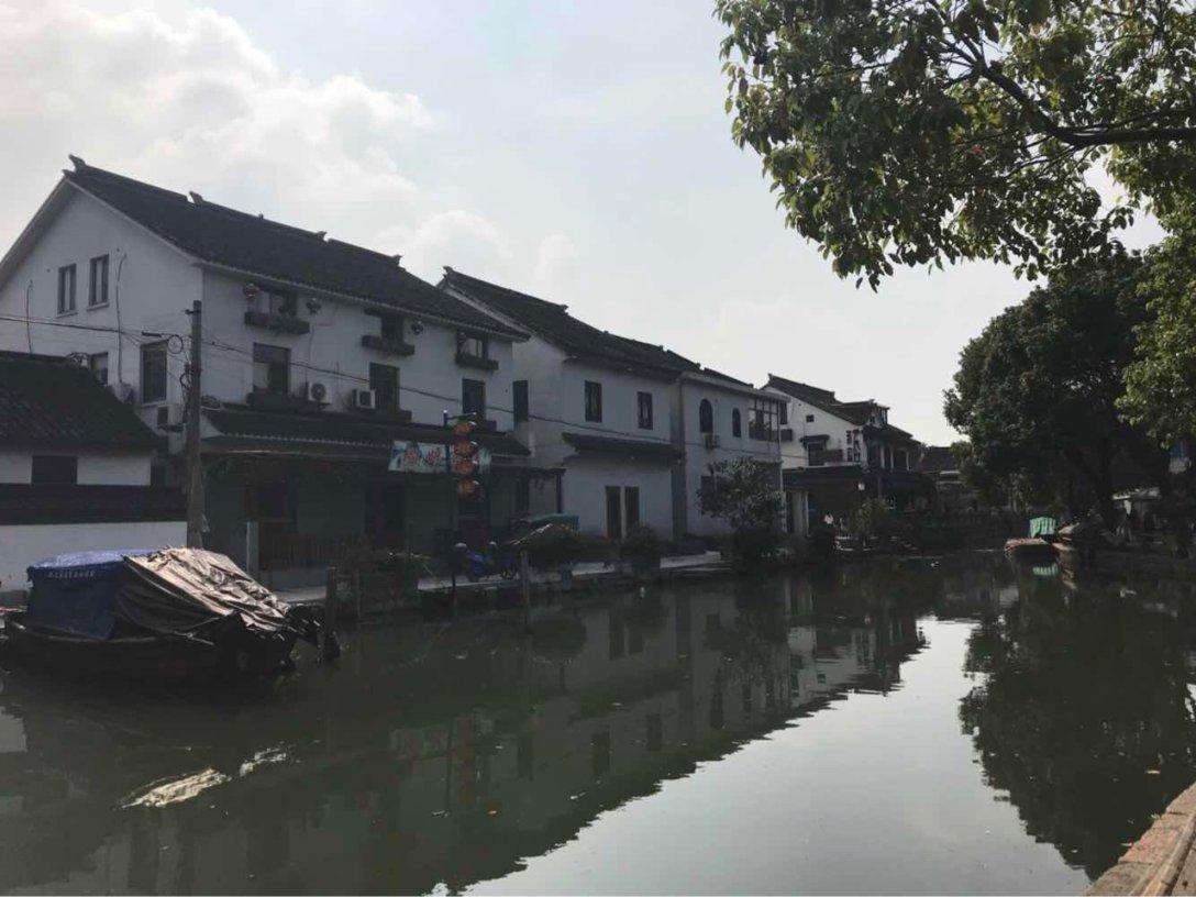 拯救可爱袋鼠
