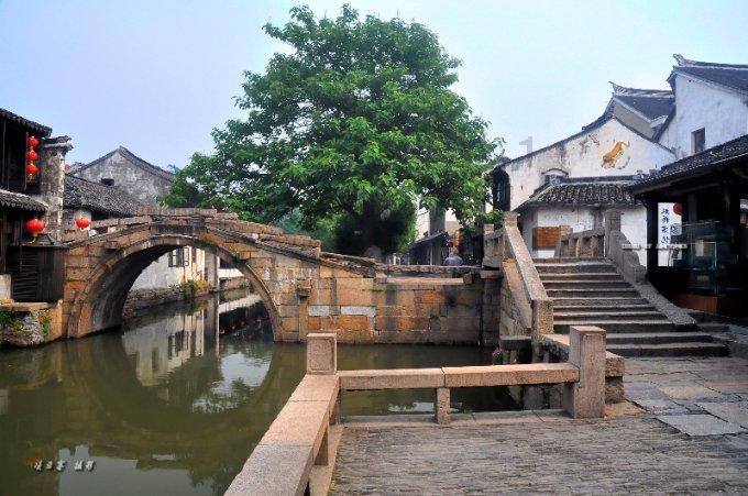 青海西宁：新春将近鲜花俏